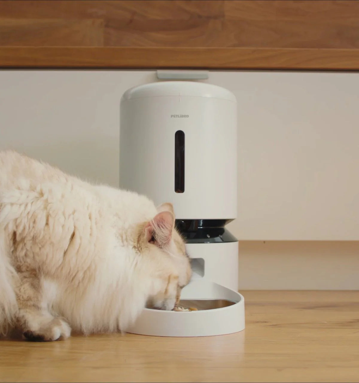 Granary Smart Camera Feeder & Fountain Bundle #1