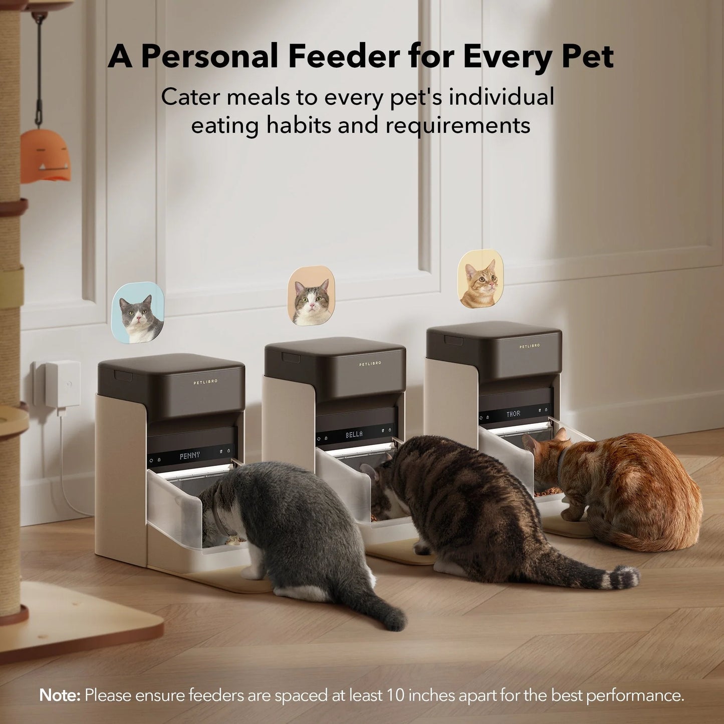 RFID Smart Feeder & Smart Fountain Bundle