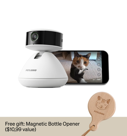 Scout Smart Camera & Petlibro Magnetic Bottle Opener