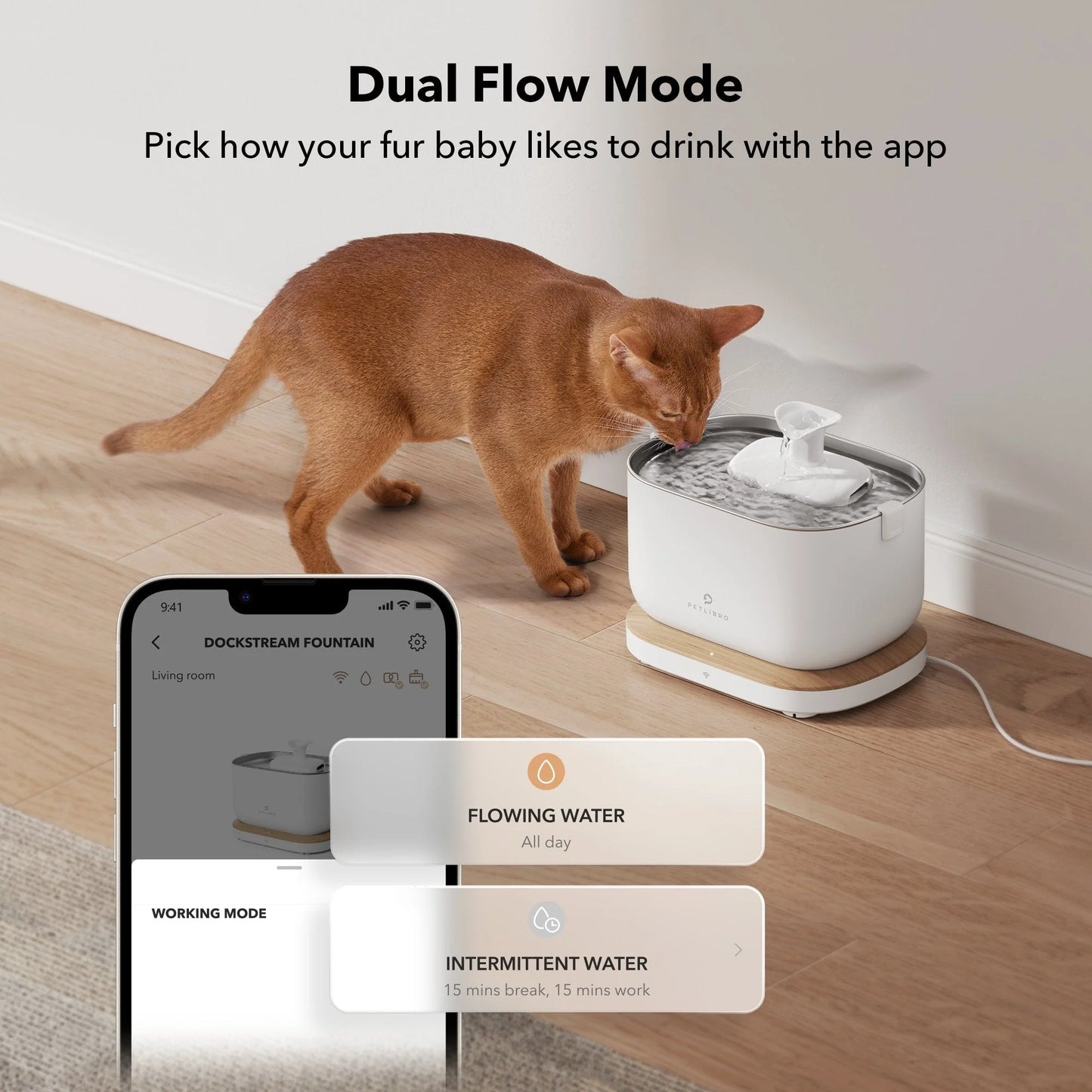 Dockstream Smart Water Fountain