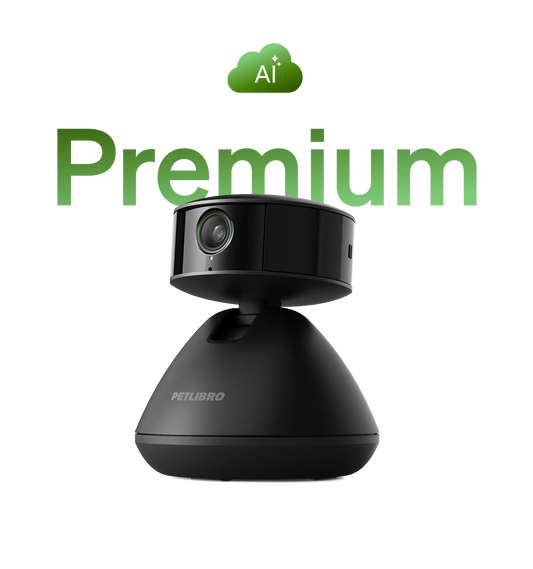 Scout Smart Camera