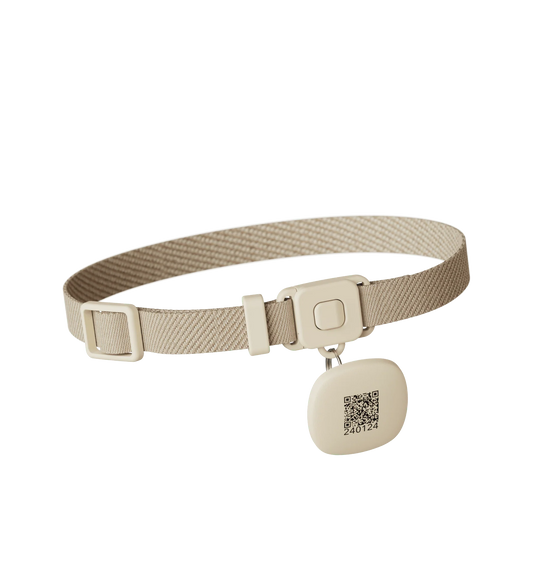 RFID Collar Tag