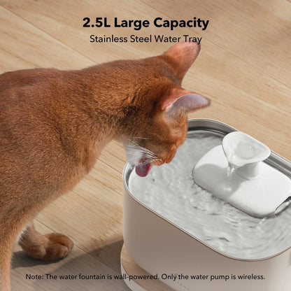 Dockstream Smart Water Fountain