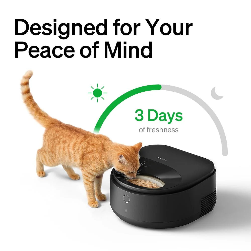 Polar Wet Food Feeder & Fountain Bundle