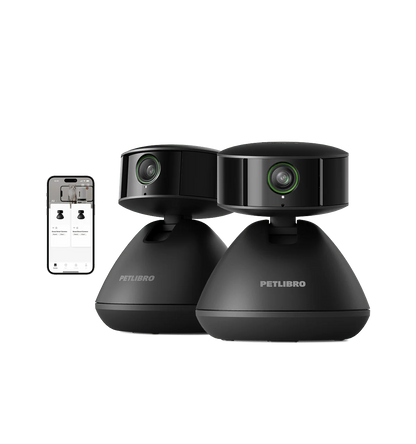 Scout Smart Camera