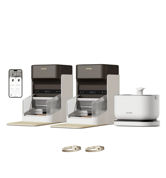 RFID Smart Feeder & Cordless Fountain Bundle