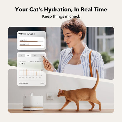 Dockstream Smart Water Fountain