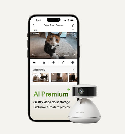 Video cloud AI