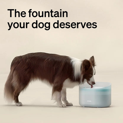 Capsule Dog Fountain & Cat Fountain Bundle