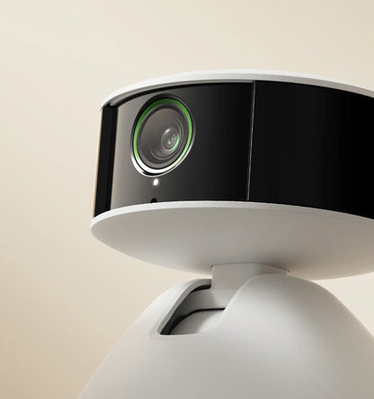 Scout Smart Camera & Petlibro Magnetic Bottle Opener