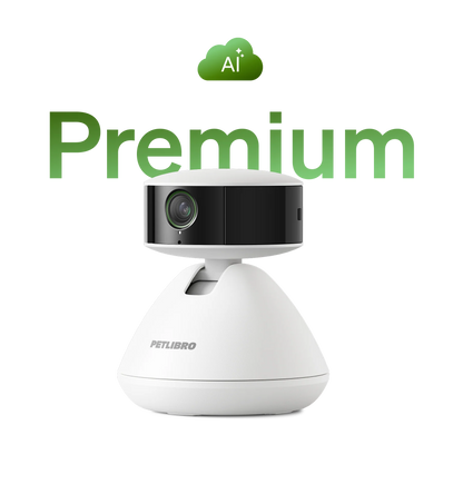 Scout Smart Camera