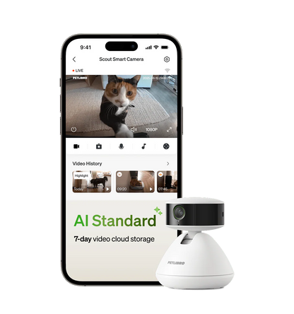 Video cloud AI