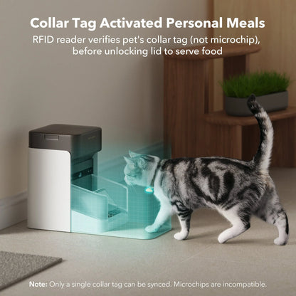 RFID Smart Feeder & Smart Fountain Bundle